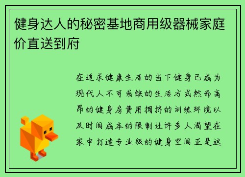 健身达人的秘密基地商用级器械家庭价直送到府